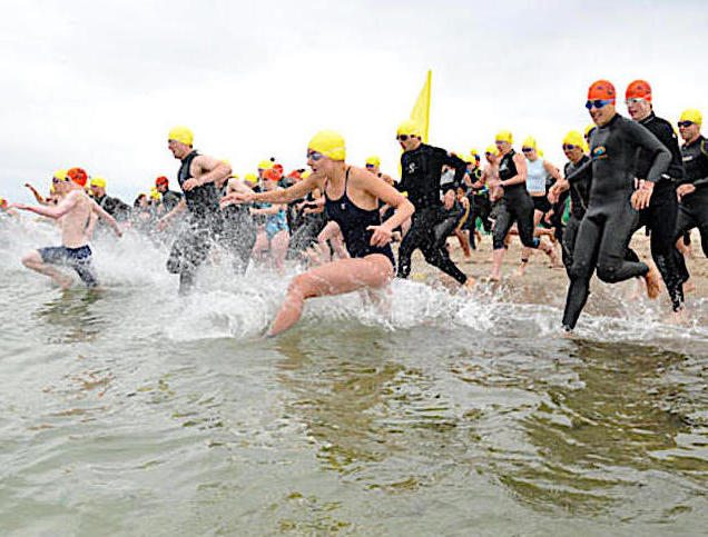 Swimmers entering the water at at NEEE race can feel confident in their safety.